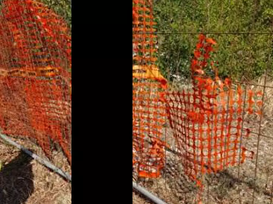 Immagine 8 di Rustico / casale in vendita  in Località mattarana a San Martino Buon Albergo