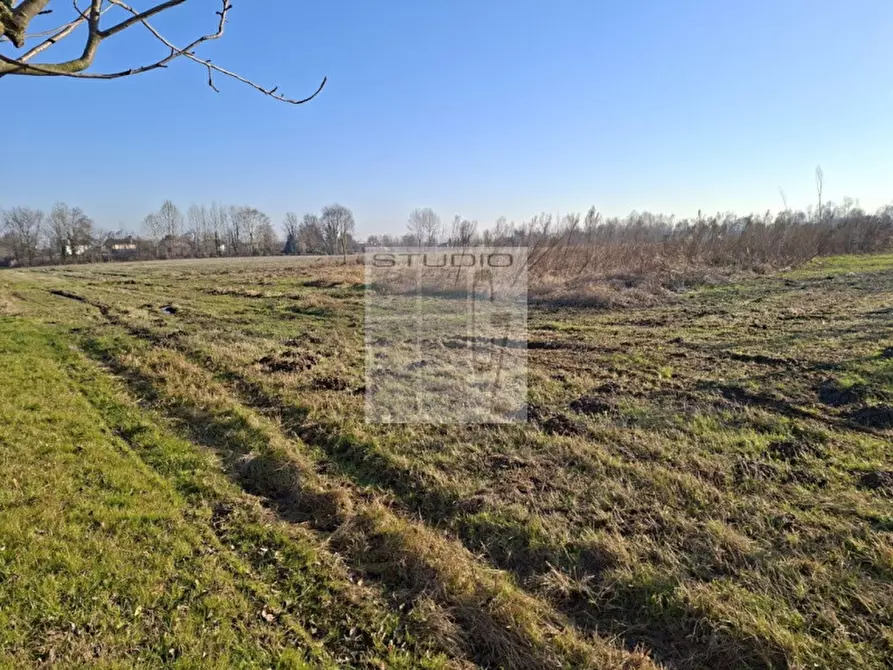 Immagine 24 di Villetta a schiera in vendita  in via Lazzaretto a Trebaseleghe