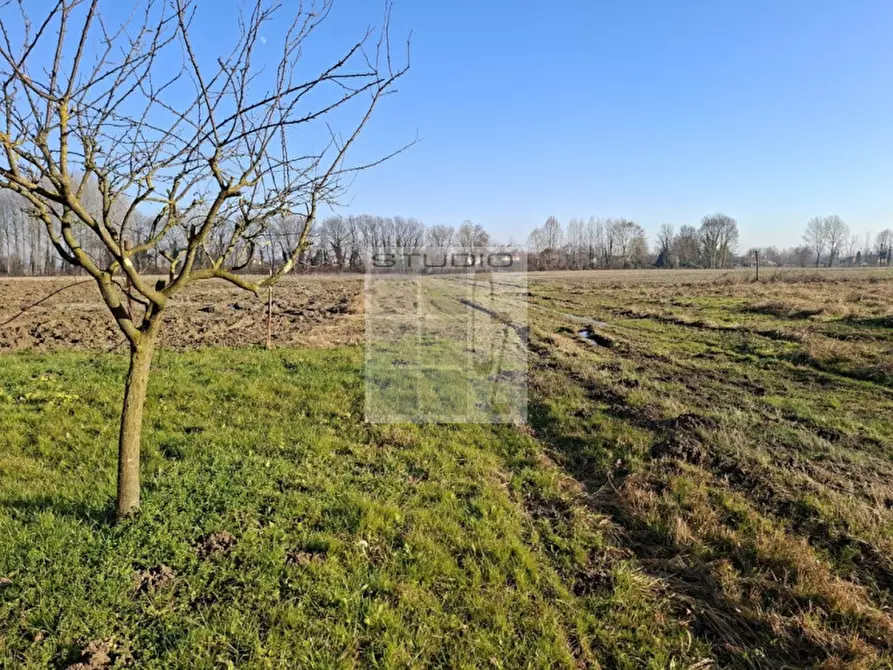 Immagine 25 di Villetta a schiera in vendita  in via Lazzaretto a Trebaseleghe