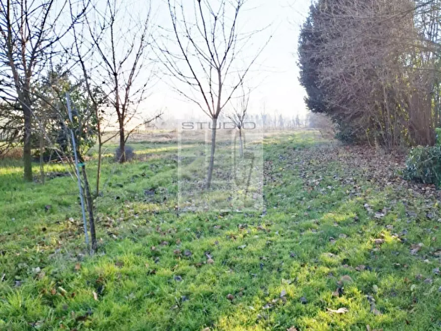 Immagine 26 di Villetta a schiera in vendita  in via Lazzaretto a Trebaseleghe
