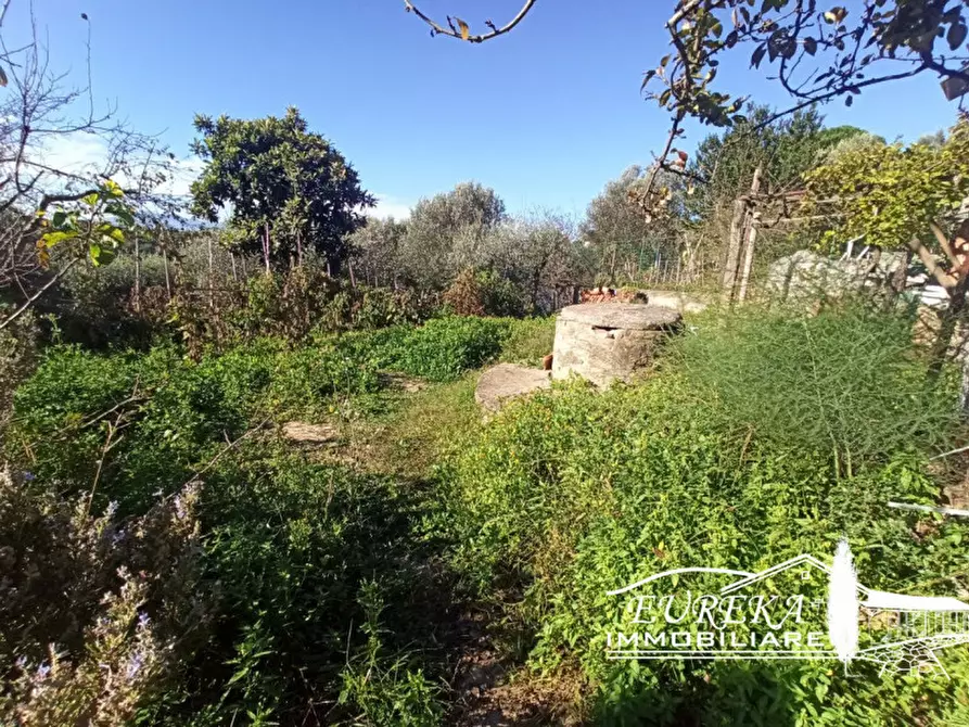 Immagine 18 di Appartamento in vendita  in Gioiella a Castiglione Del Lago