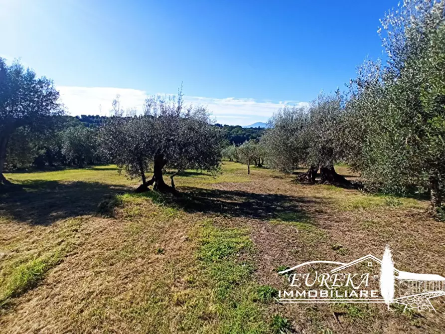Immagine 20 di Appartamento in vendita  in Gioiella a Castiglione Del Lago