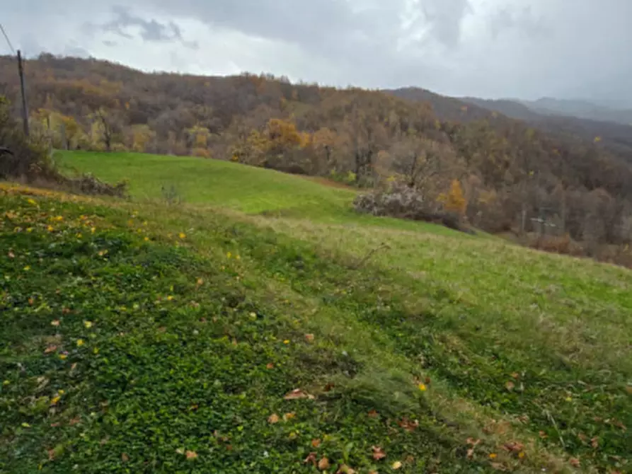 Immagine 22 di Casa indipendente in vendita  in Frazione Bellasola a Corniglio
