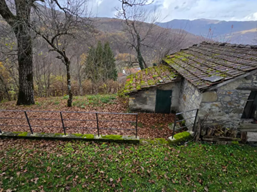 Immagine 33 di Casa indipendente in vendita  in Frazione Bellasola a Corniglio