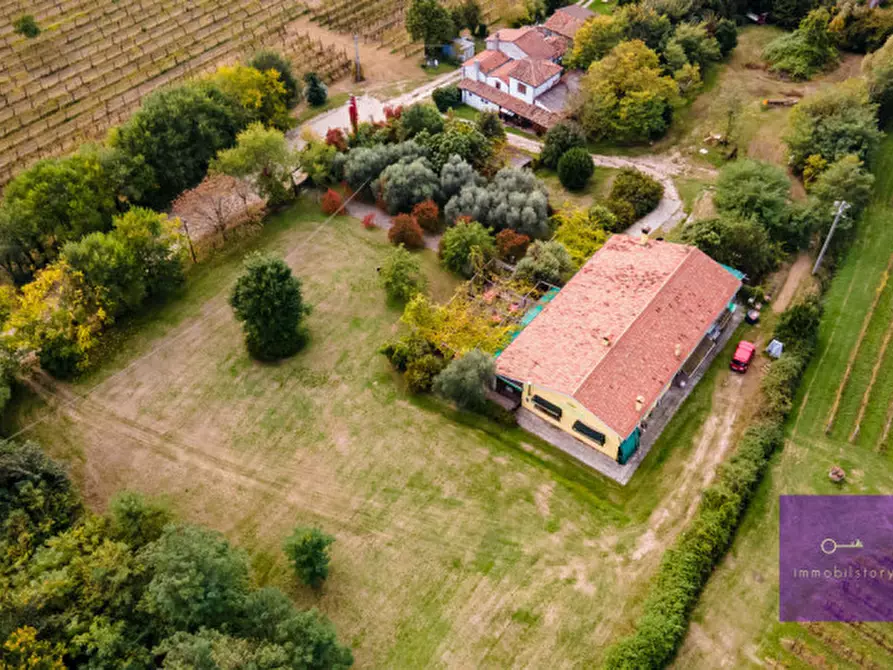 Immagine 3 di Villa in vendita  a Montegrotto Terme