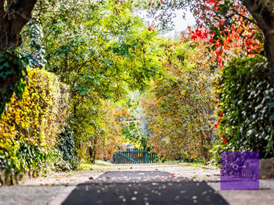 Immagine 4 di Villa in vendita  a Montegrotto Terme