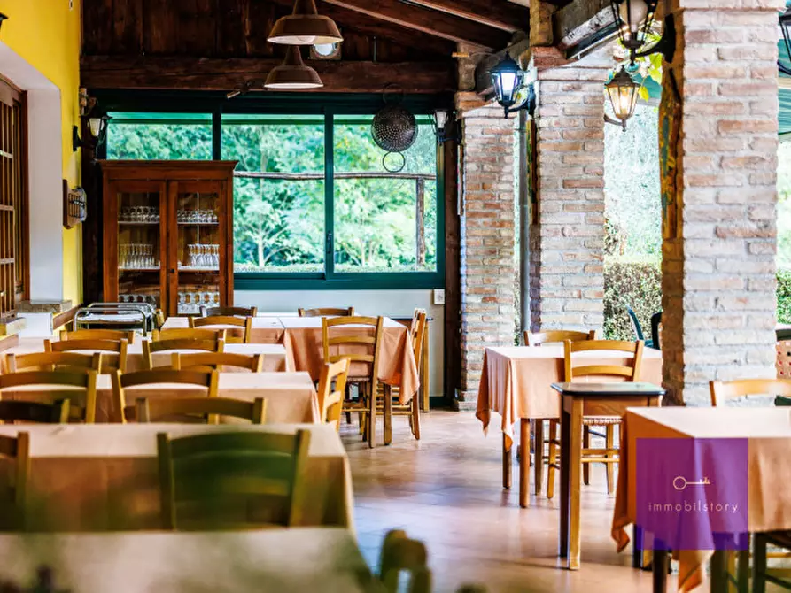 Immagine 5 di Villa in vendita  a Montegrotto Terme