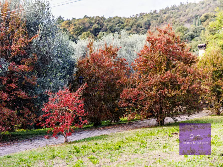 Immagine 9 di Villa in vendita  a Montegrotto Terme