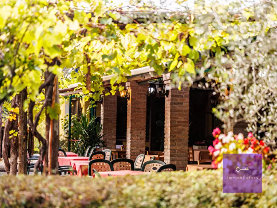 Immagine 10 di Villa in vendita  a Montegrotto Terme
