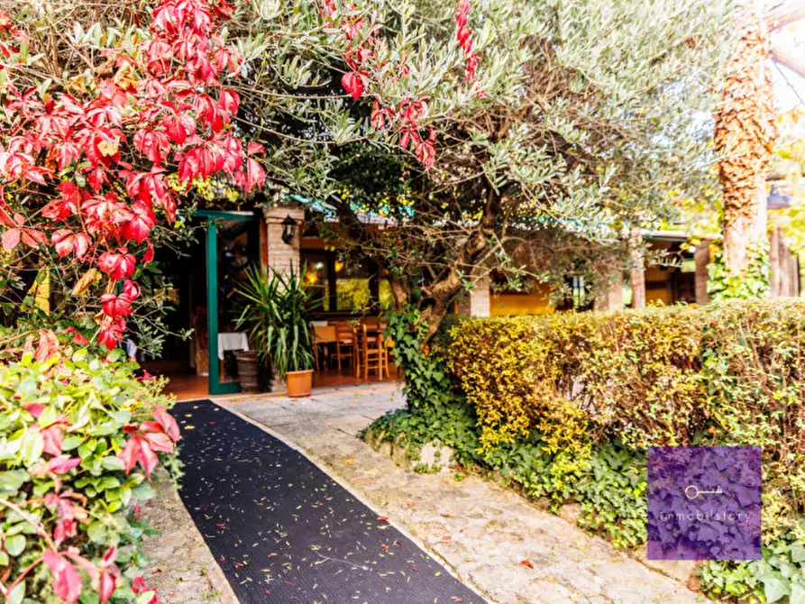 Immagine 11 di Villa in vendita  a Montegrotto Terme