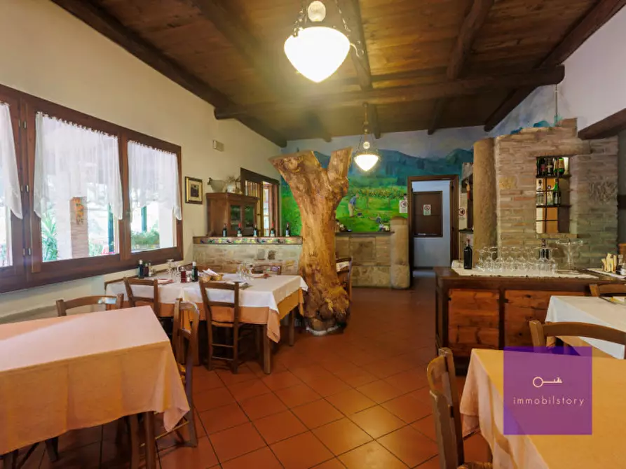 Immagine 13 di Villa in vendita  a Montegrotto Terme