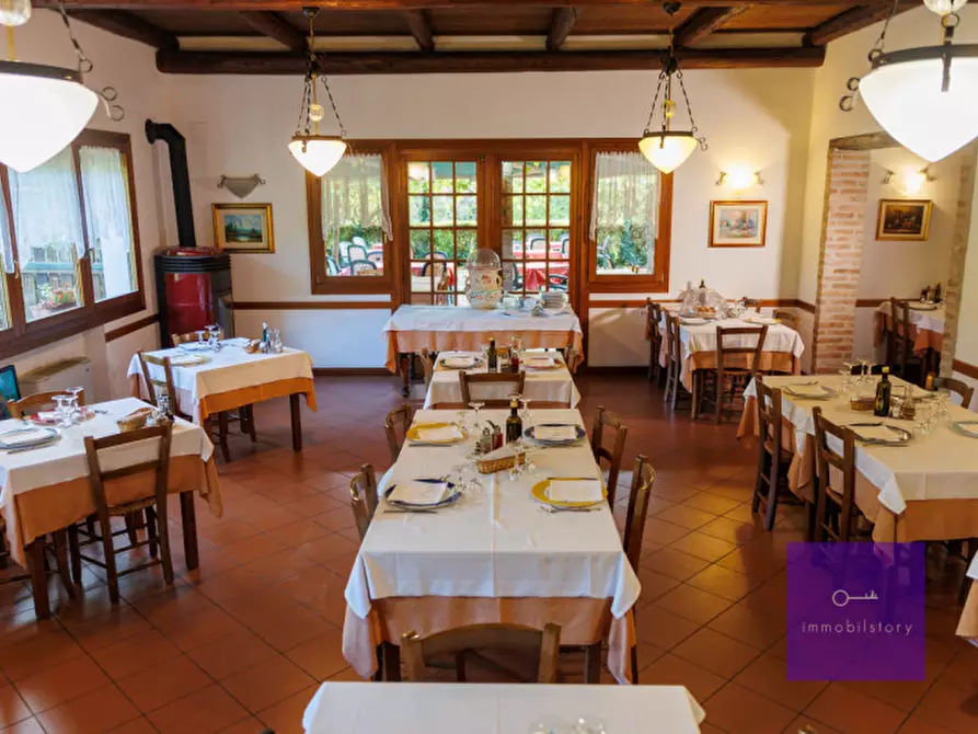 Immagine 16 di Villa in vendita  a Montegrotto Terme