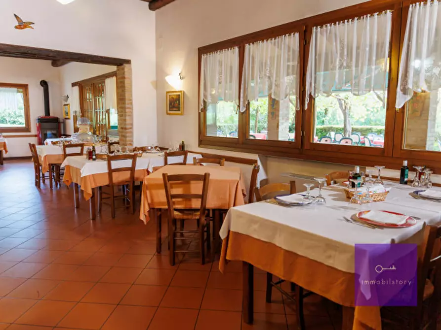 Immagine 17 di Villa in vendita  a Montegrotto Terme