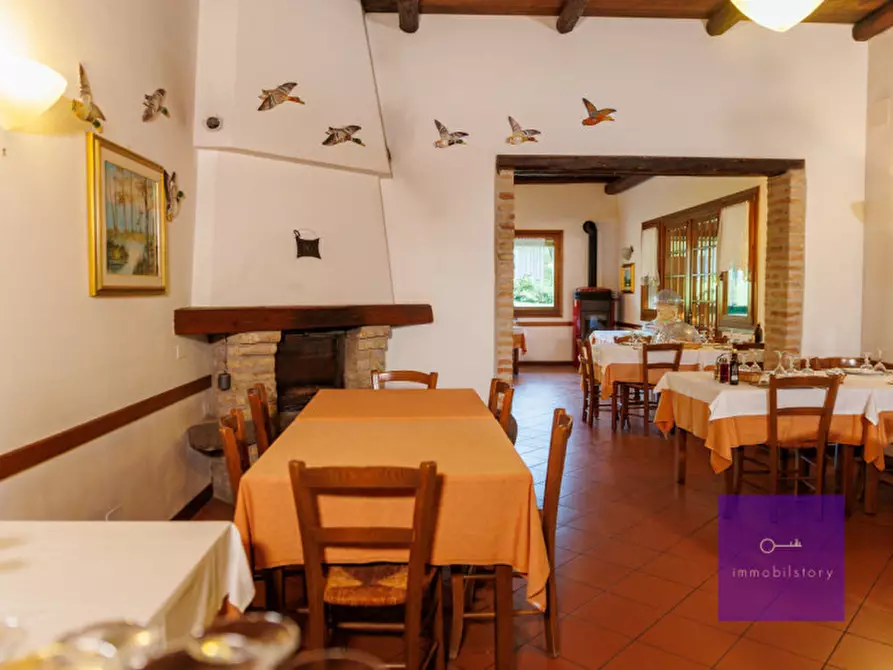 Immagine 18 di Villa in vendita  a Montegrotto Terme