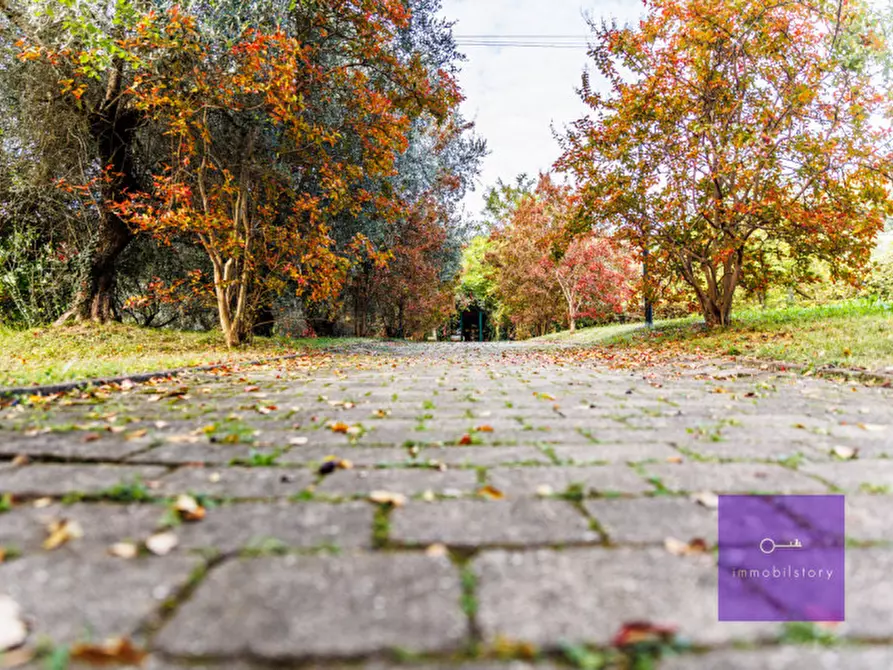 Immagine 21 di Villa in vendita  a Montegrotto Terme