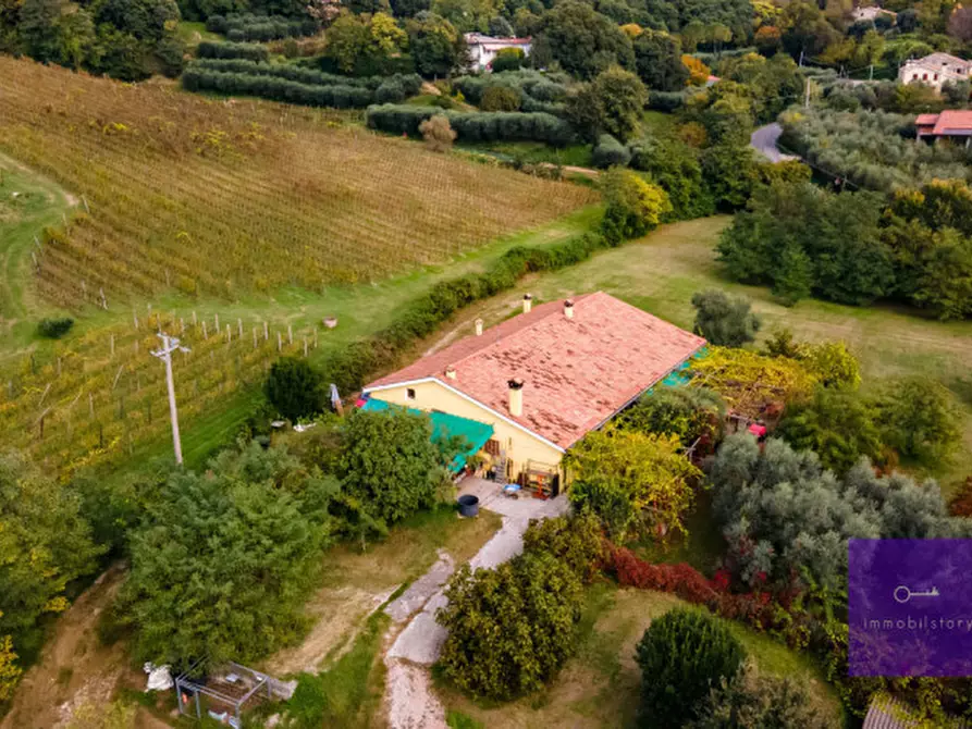 Immagine 22 di Villa in vendita  a Montegrotto Terme