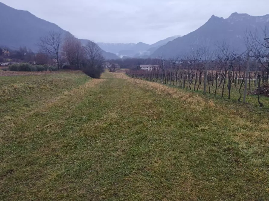 Immagine 2 di Terreno in vendita  a Velo D'astico
