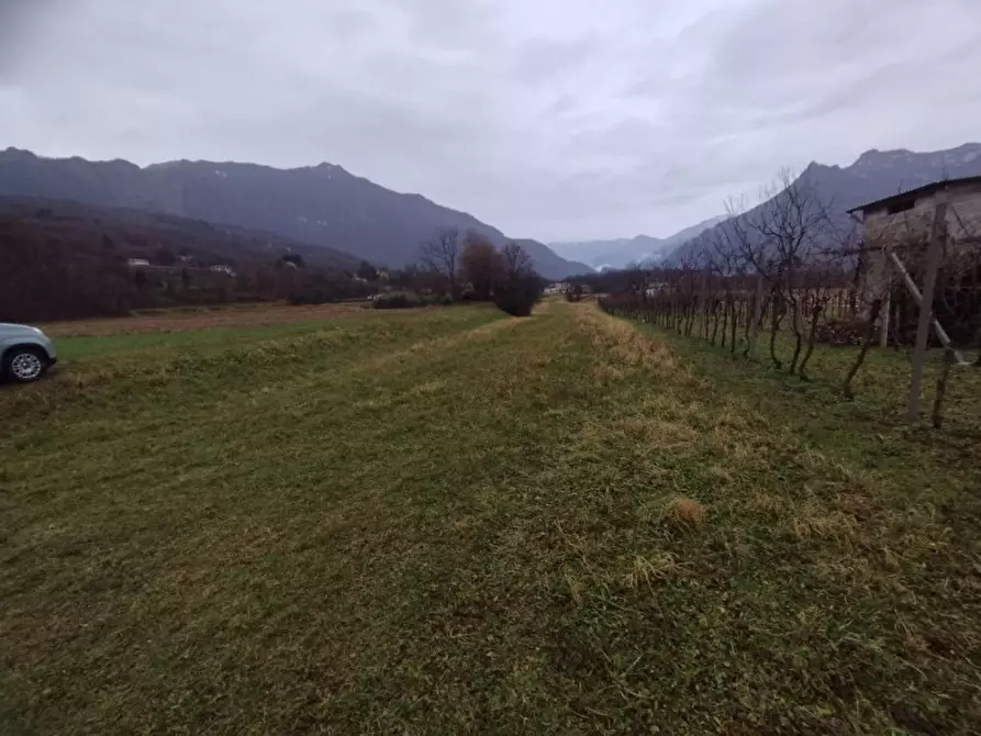 Immagine 5 di Terreno in vendita  a Velo D'astico