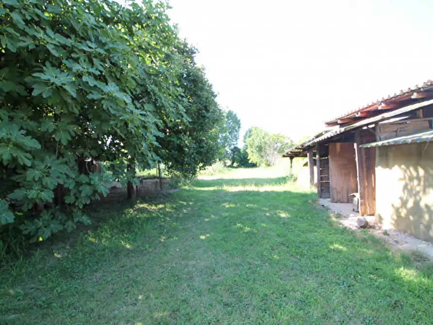 Immagine 25 di Casa bifamiliare in vendita  in Via San Daniele a Torreglia