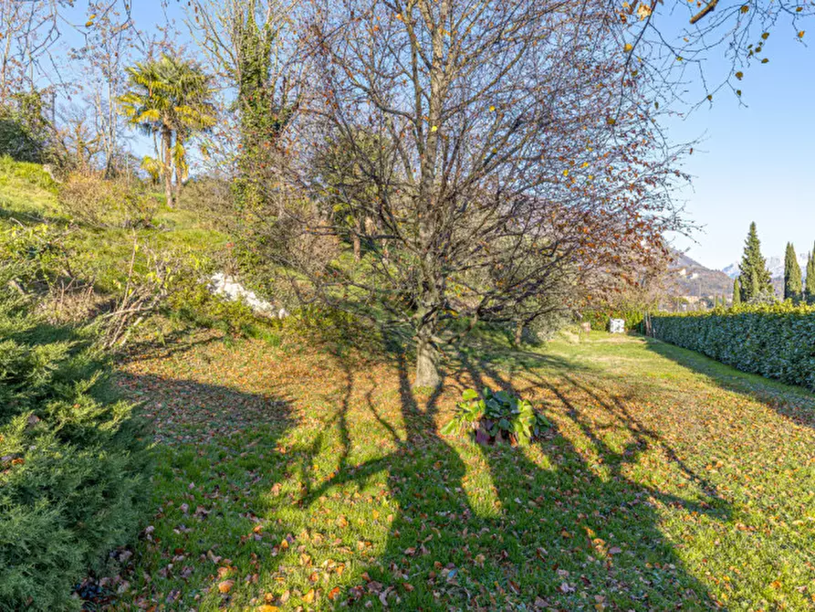 Immagine 12 di Casa bifamiliare in vendita  a Pusiano