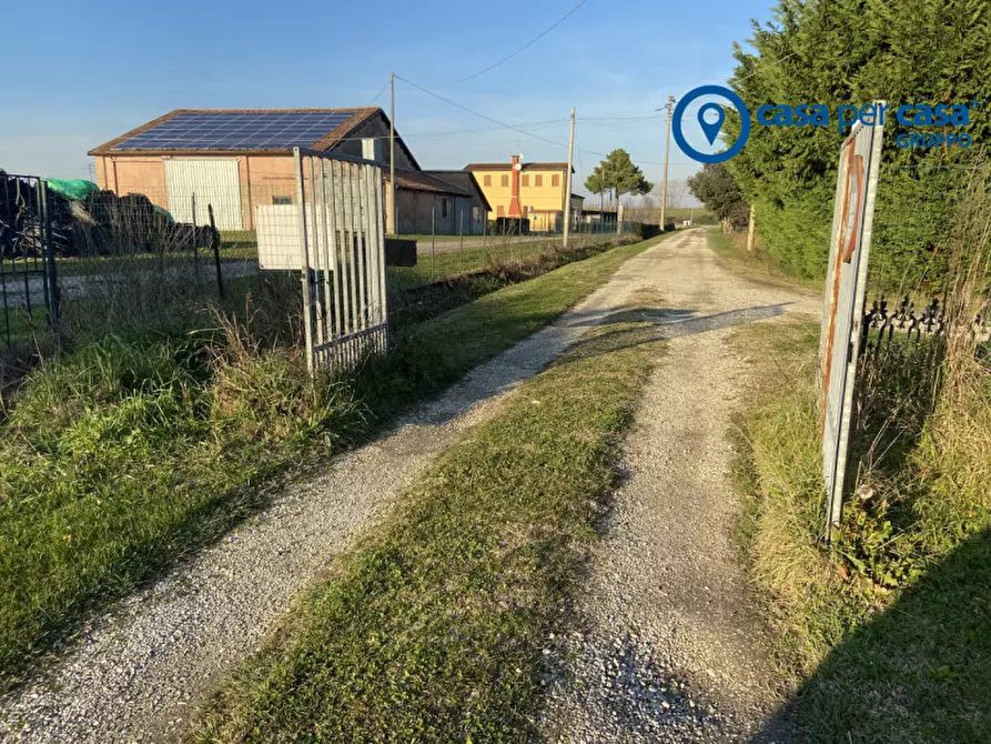 Immagine 4 di Casa indipendente in vendita  in Polesinino, Via Marina a Taglio Di Po