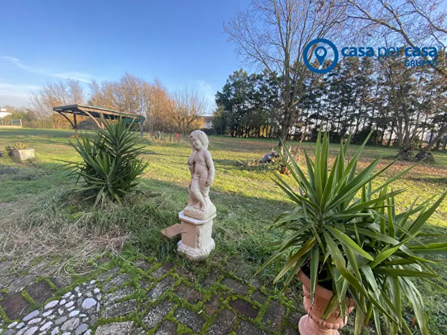 Immagine 6 di Casa indipendente in vendita  in Polesinino, Via Marina a Taglio Di Po