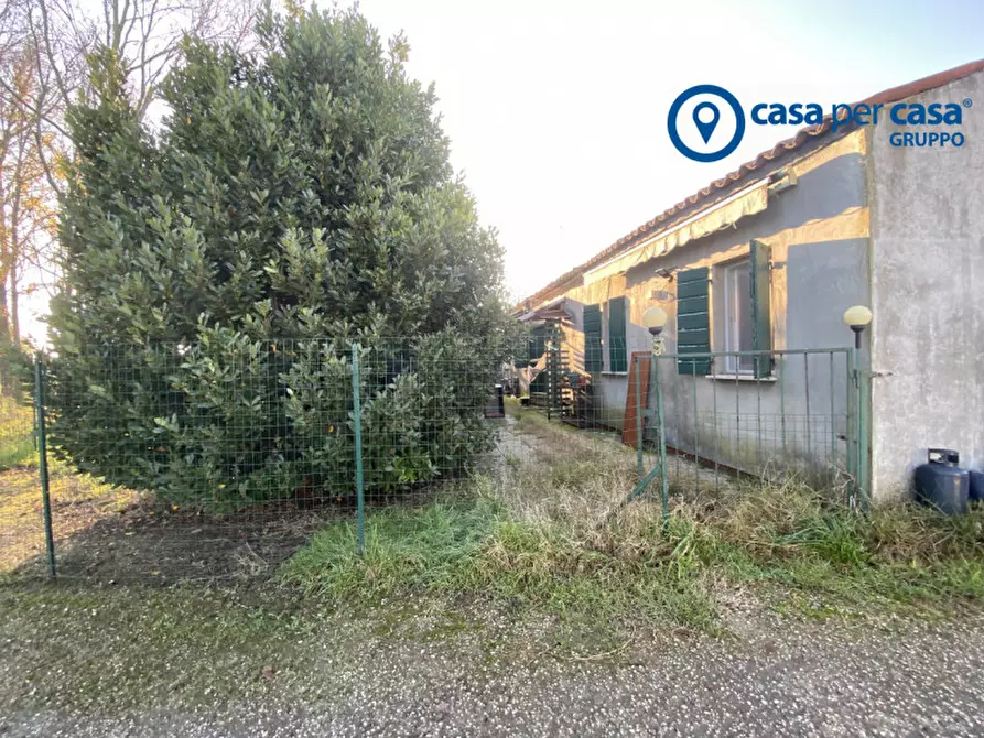 Immagine 36 di Casa indipendente in vendita  in Polesinino, Via Marina a Taglio Di Po