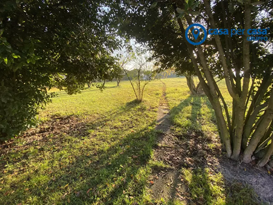 Immagine 54 di Casa indipendente in vendita  in Polesinino, Via Marina a Taglio Di Po