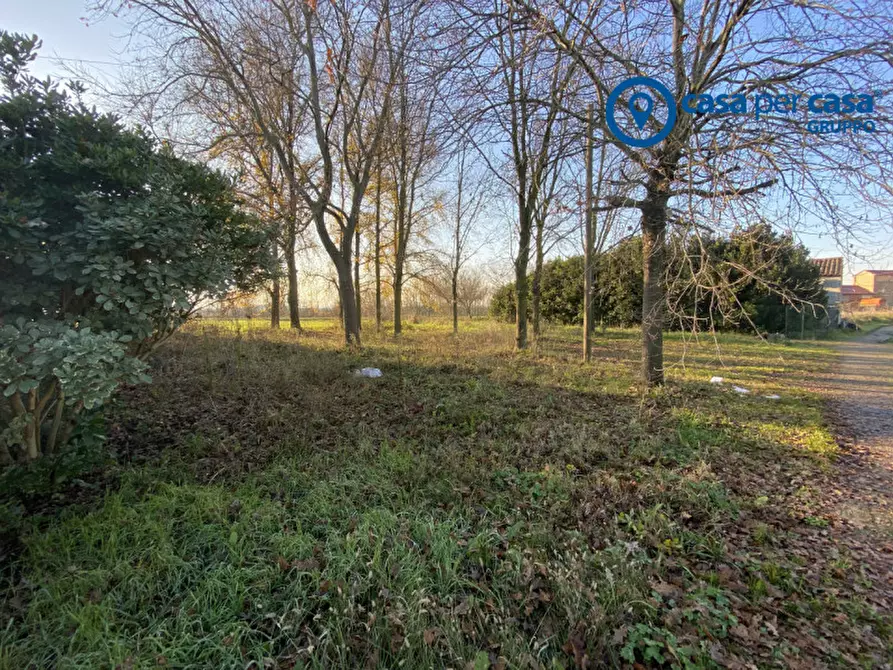 Immagine 55 di Casa indipendente in vendita  in Polesinino, Via Marina a Taglio Di Po