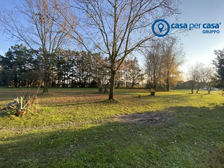 Immagine 57 di Casa indipendente in vendita  in Polesinino, Via Marina a Taglio Di Po