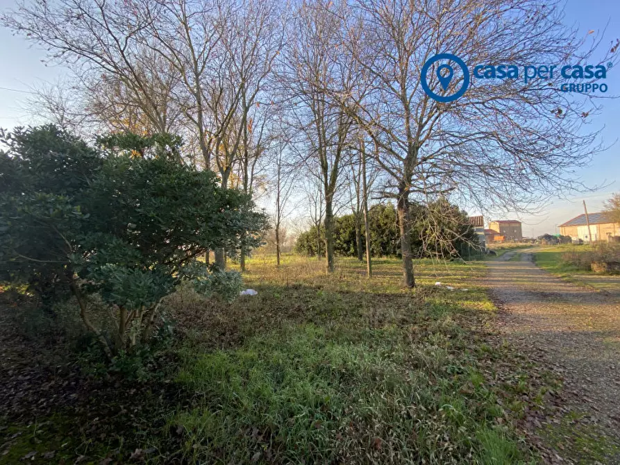 Immagine 58 di Casa indipendente in vendita  in Polesinino, Via Marina a Taglio Di Po