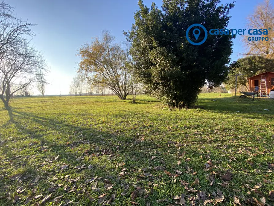 Immagine 59 di Casa indipendente in vendita  in Polesinino, Via Marina a Taglio Di Po