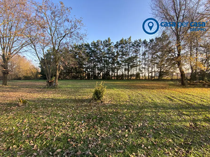 Immagine 60 di Casa indipendente in vendita  in Polesinino, Via Marina a Taglio Di Po
