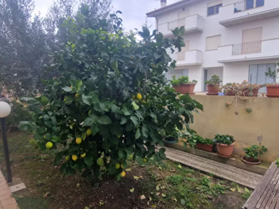 Immagine 2 di Casa quadrifamiliare in vendita  in Via Torrette a Città Sant'angelo