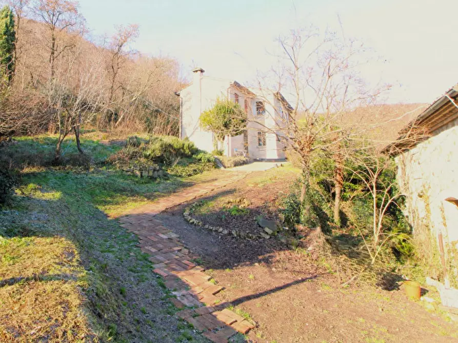Immagine 3 di Rustico / casale in vendita  in Via Solana 21 a Monselice
