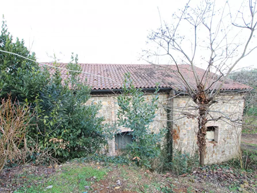 Immagine 19 di Rustico / casale in vendita  in Via Solana 21 a Monselice