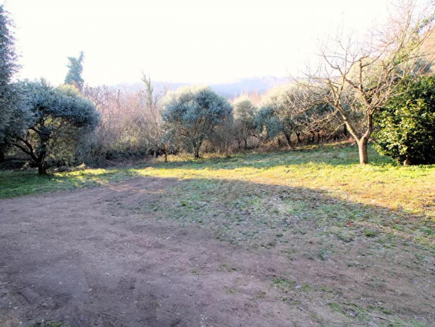 Immagine 21 di Rustico / casale in vendita  in Via Solana 21 a Monselice