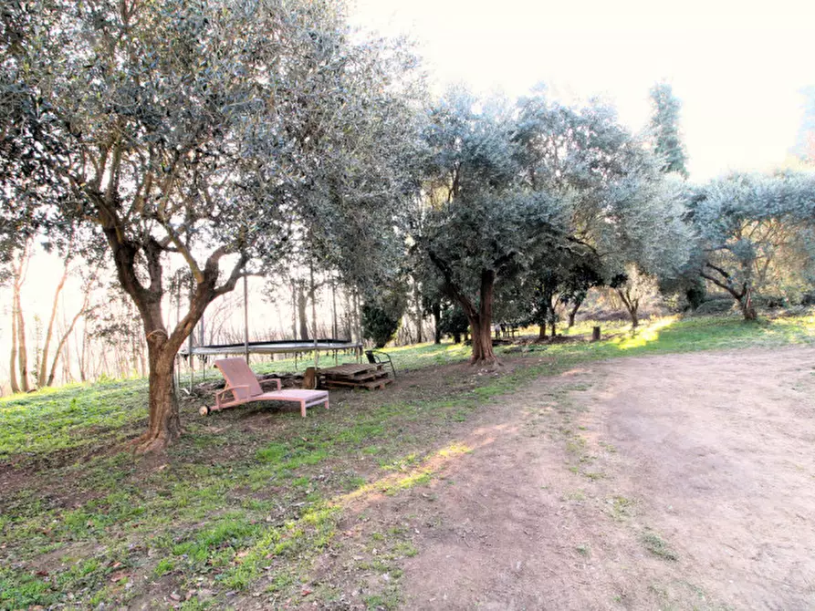 Immagine 22 di Rustico / casale in vendita  in Via Solana 21 a Monselice