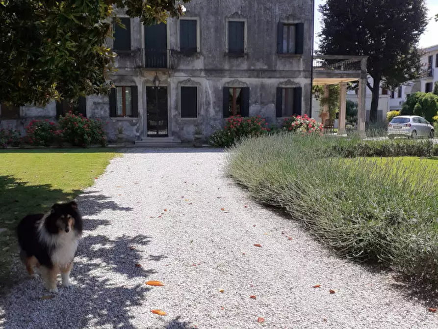 Immagine 1 di Villa in vendita  in Mira a Mira