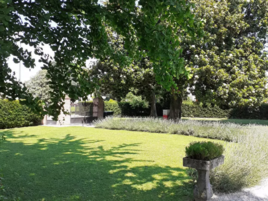 Immagine 3 di Villa in vendita  in Mira a Mira