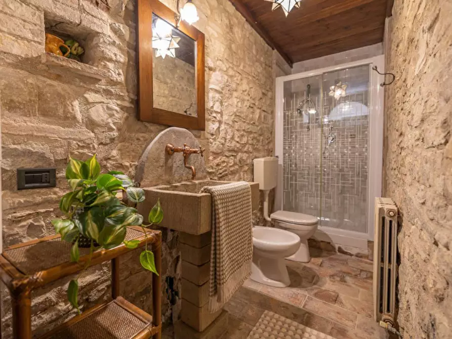 Immagine 52 di Rustico / casale in vendita  in Ca' Mariano a Macerata Feltria