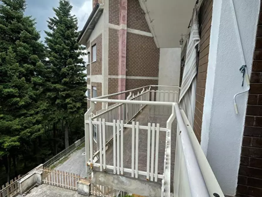 Immagine 19 di Appartamento in affitto  a Moliterno