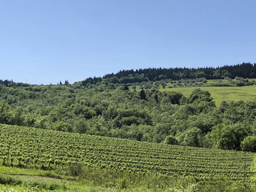 Immagine 6 di Appartamento in vendita  in Via Bonsarto a Montespertoli