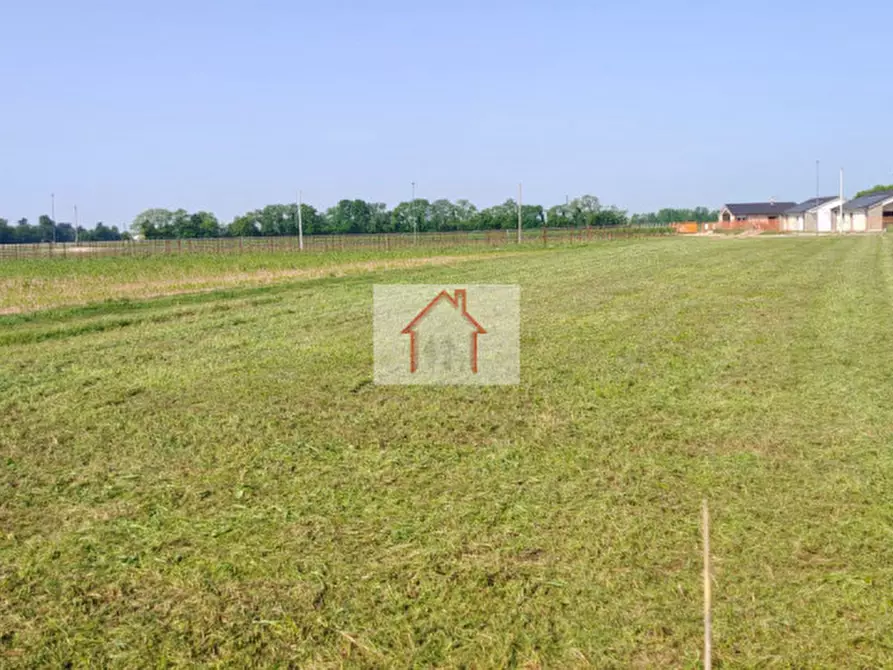 Immagine 3 di Terreno in vendita  in via nogariole a Giavera Del Montello