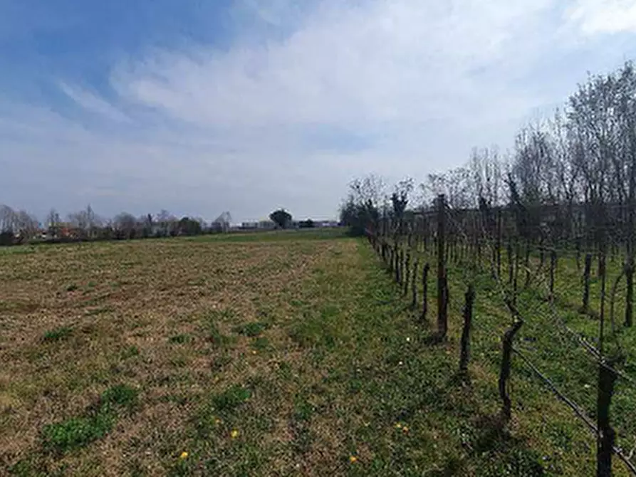 Immagine 2 di Terreno in vendita  in Via Cornizzai a Pasiano Di Pordenone