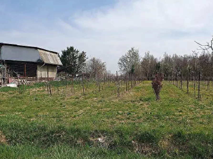 Immagine 3 di Terreno in vendita  in Via Cornizzai a Pasiano Di Pordenone