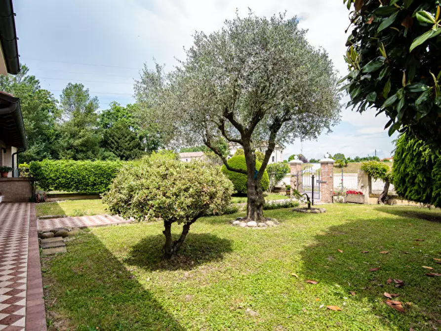 Immagine 1 di Casa bifamiliare in vendita  in Via Argine Destro del Piovego n 44 a Noventa Padovana