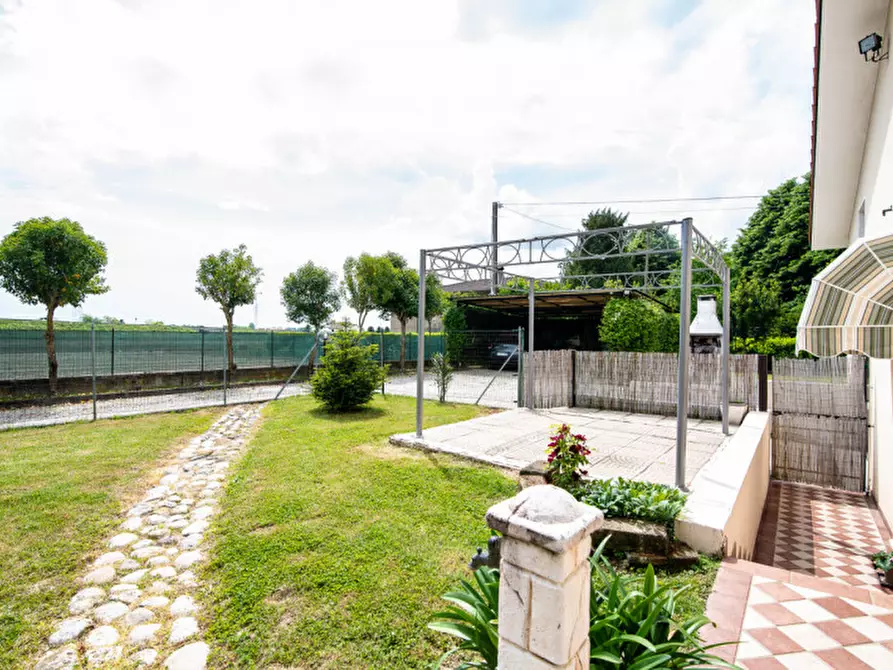 Immagine 3 di Casa bifamiliare in vendita  in Via Argine Destro del Piovego n 44 a Noventa Padovana