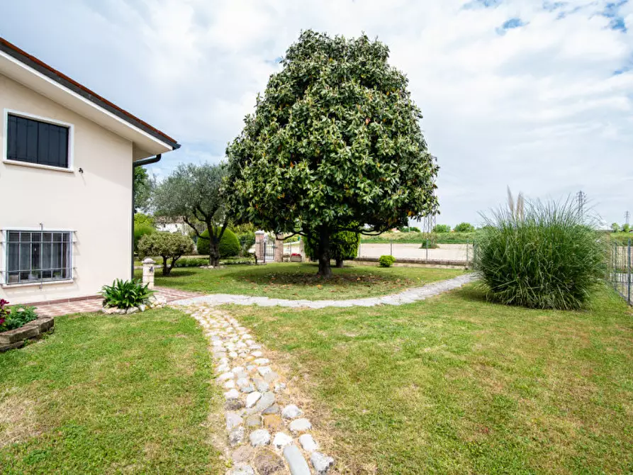 Immagine 4 di Casa bifamiliare in vendita  in Via Argine Destro del Piovego n 44 a Noventa Padovana