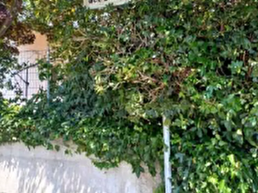 Immagine 2 di Terreno in vendita  in Via Casaretta a Cittadella